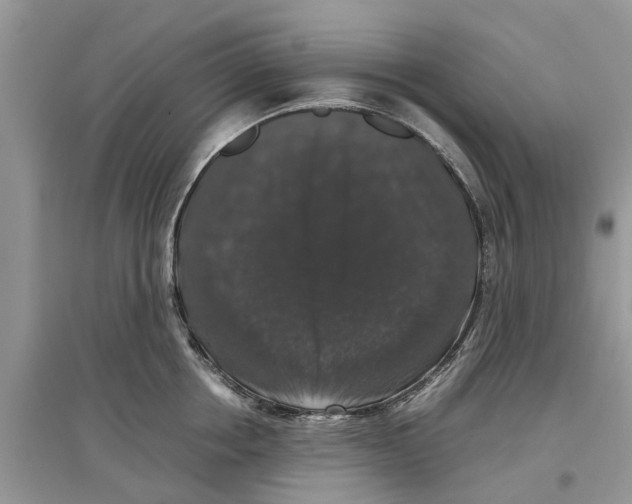 X0000097300858200803071751