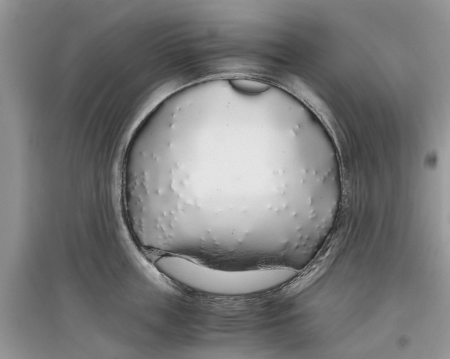 X0000097300859200803071751