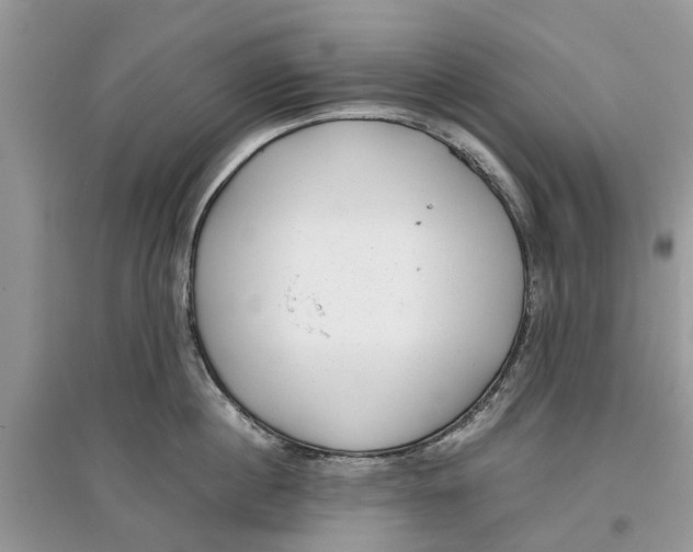 X0000097300860200803071751