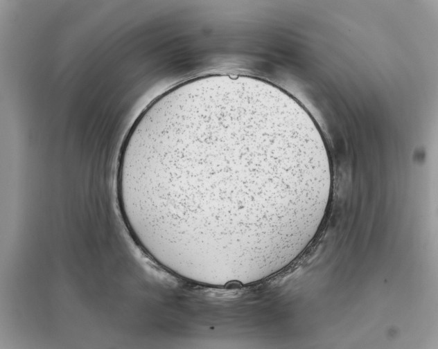 X0000097300861200803071751