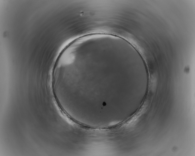 X0000097300862200803071751