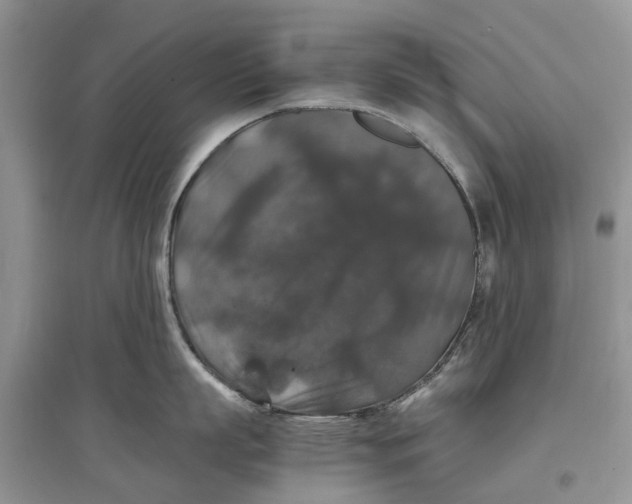 X0000097300863200803071751