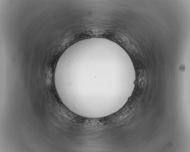 X0000097300866200803071750