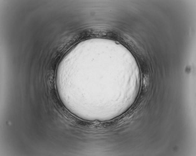 X0000097300867200803071750