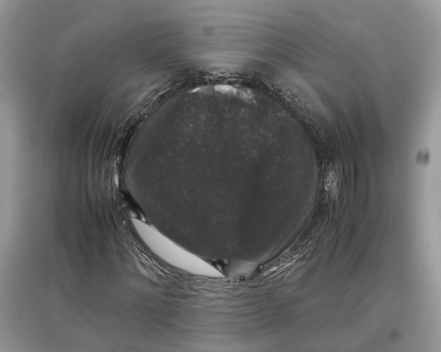 X0000097300868200803071750