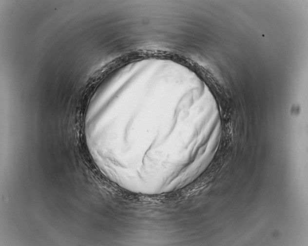 X0000097300870200803071750