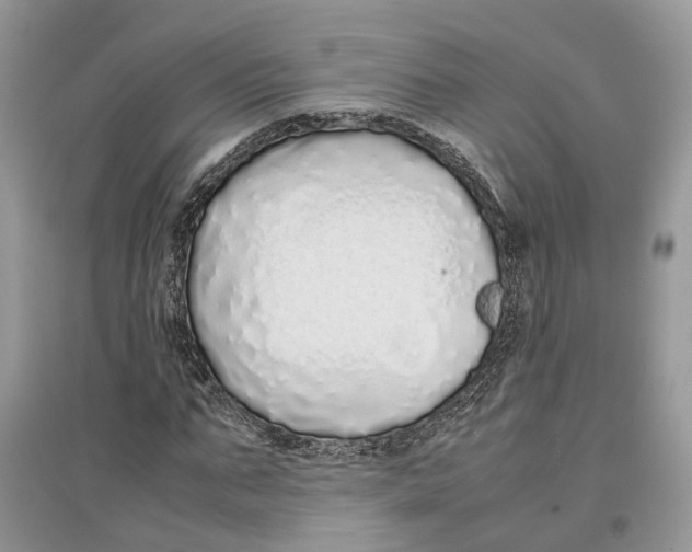 X0000097300871200803071750