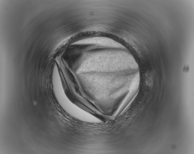 X0000097300872200803071750