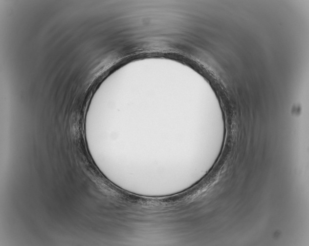 X0000097300873200803071750