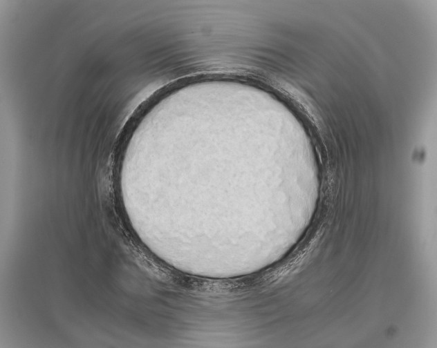 X0000097300875200803071750