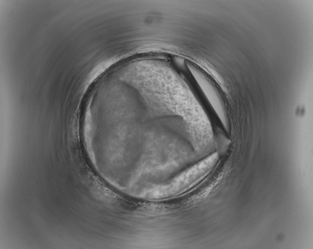 X0000097300877200803071750