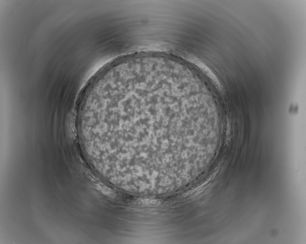 X0000097300878200803071750