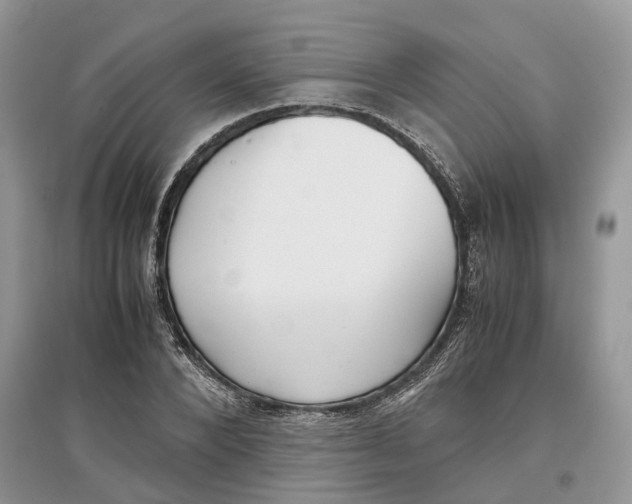 X0000097300880200803071750