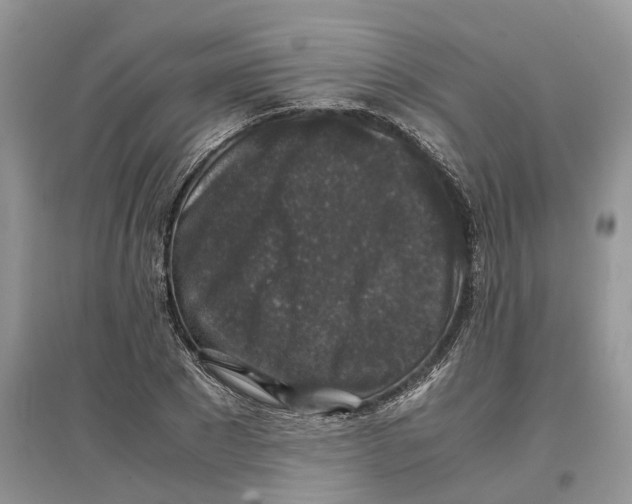 X0000097300881200803071750