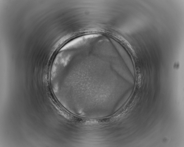 X0000097300882200803071750