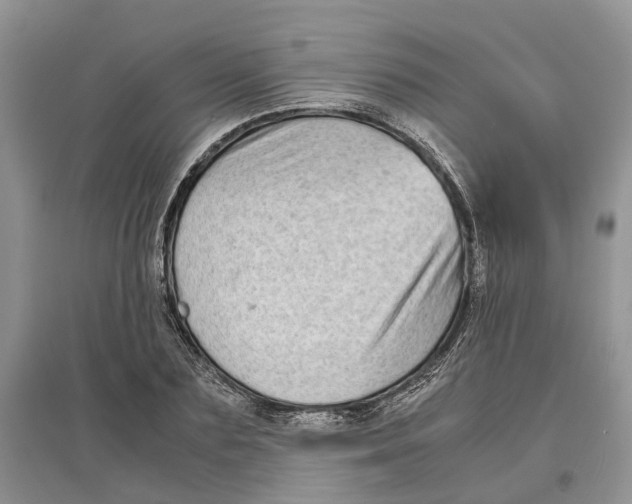 X0000097300883200803071750