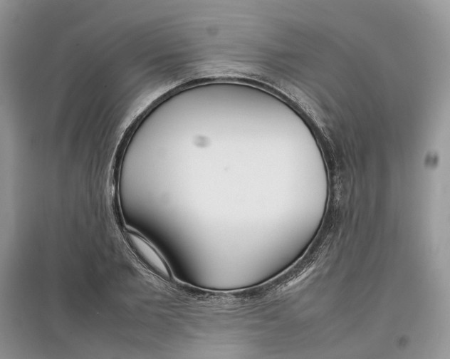 X0000097300885200803071750