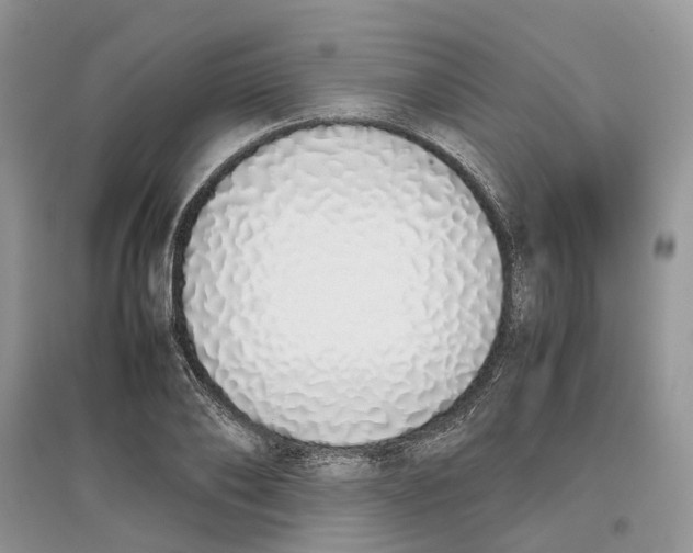 X0000097300886200803071750