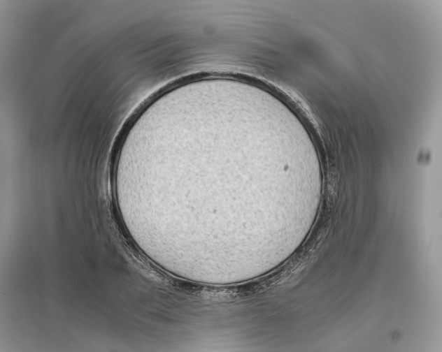 X0000097300887200803071750