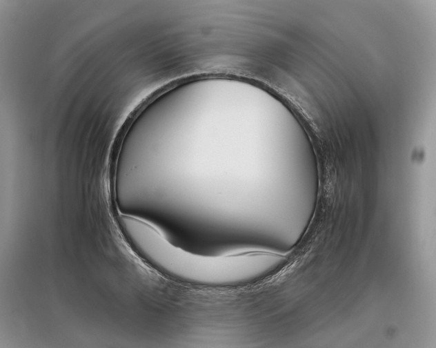 X0000097300888200803071750