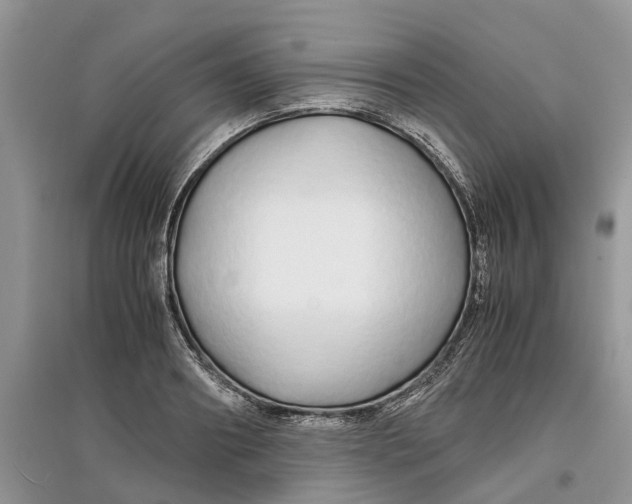 X0000097300890200803071750