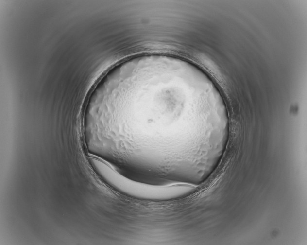 X0000097300891200803071750