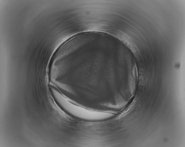 X0000097300892200803071750