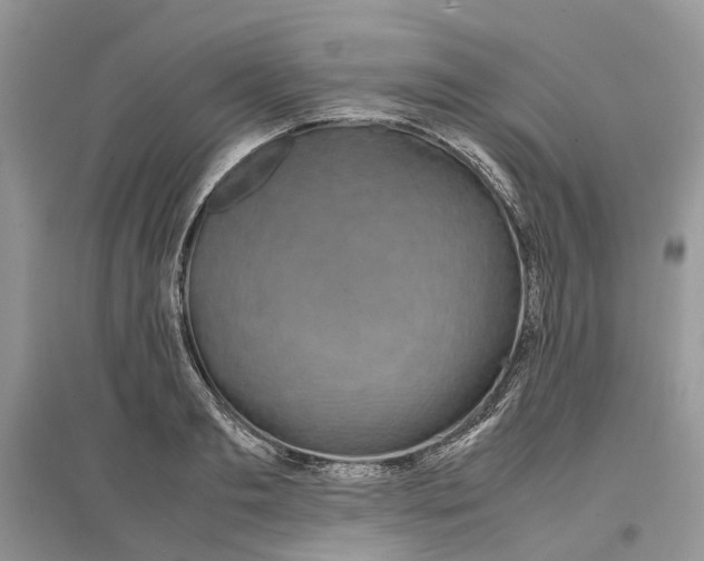 X0000097300893200803071750