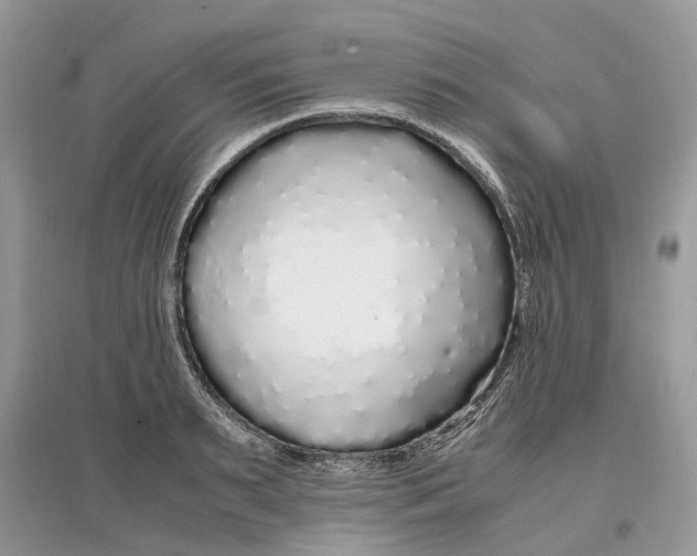 X0000097300895200803071750