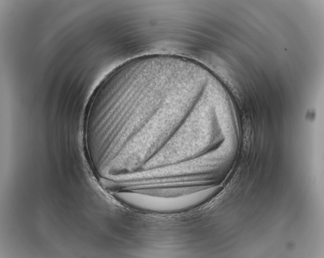 X0000097300896200803071750