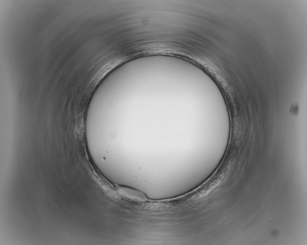 X0000097300897200803071750