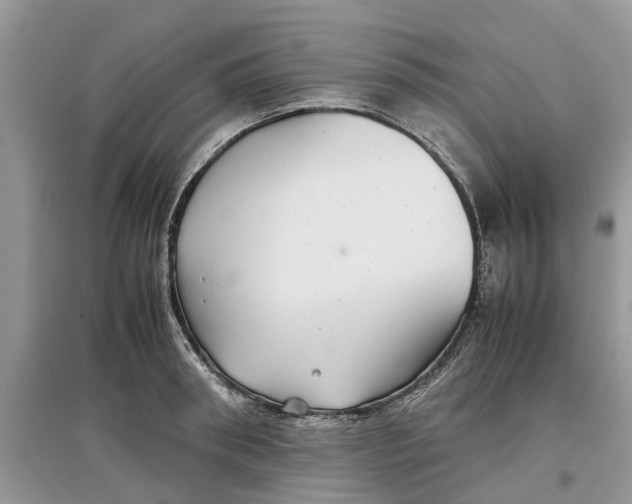 X0000097300898200803071750