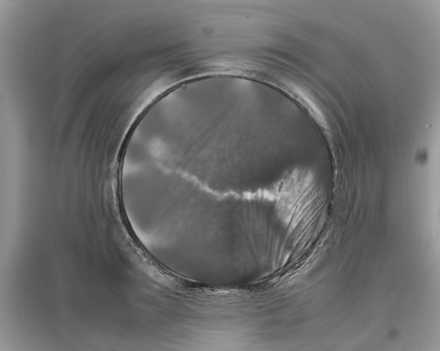 X0000097300899200803071750