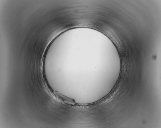 X0000097300900200803071750