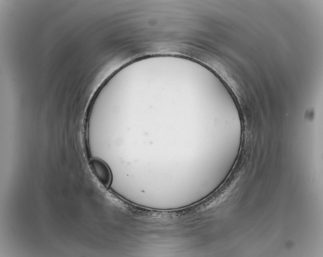 X0000097300901200803071750