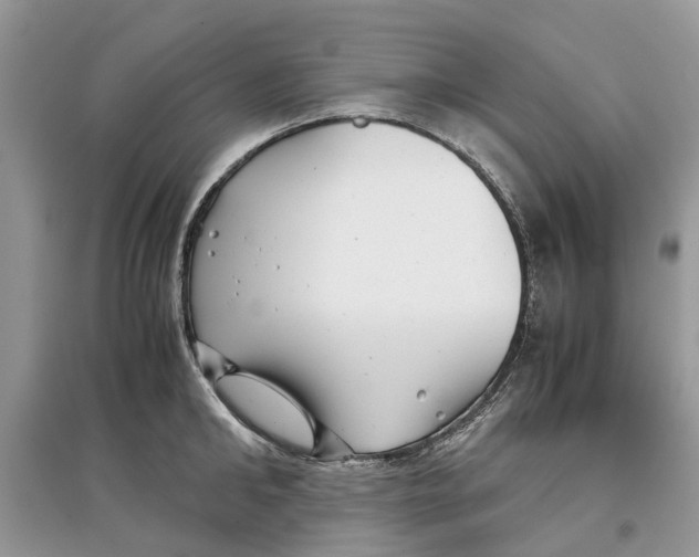 X0000097300902200803071750