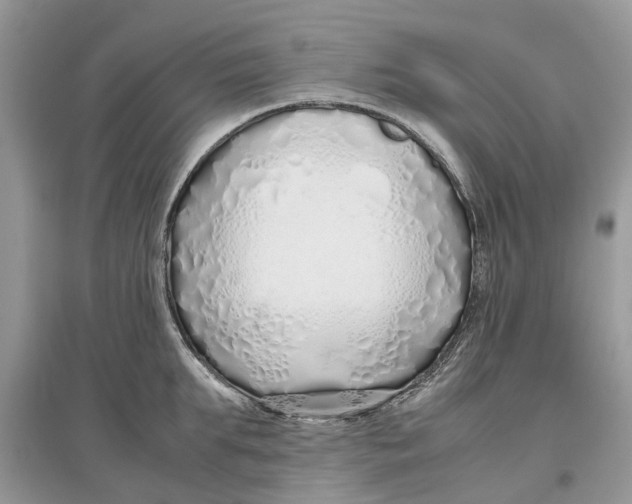 X0000097300903200803071750