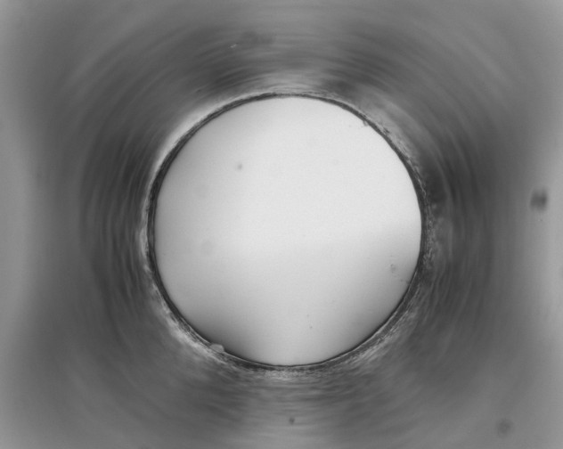 X0000097300904200803071750