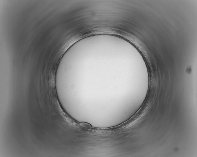 X0000097300905200803071750