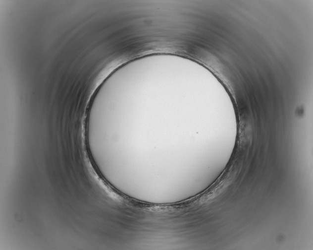 X0000097300906200803071750