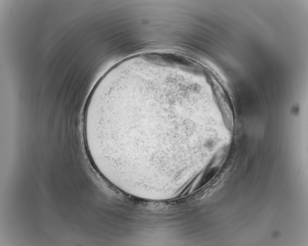 X0000097300907200803071750