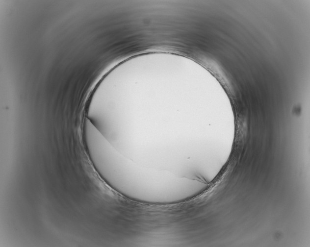 X0000097300908200803071750