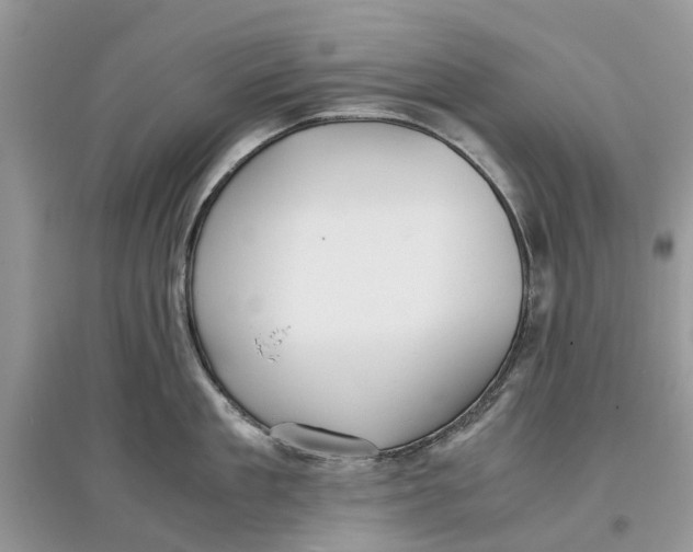 X0000097300909200803071750