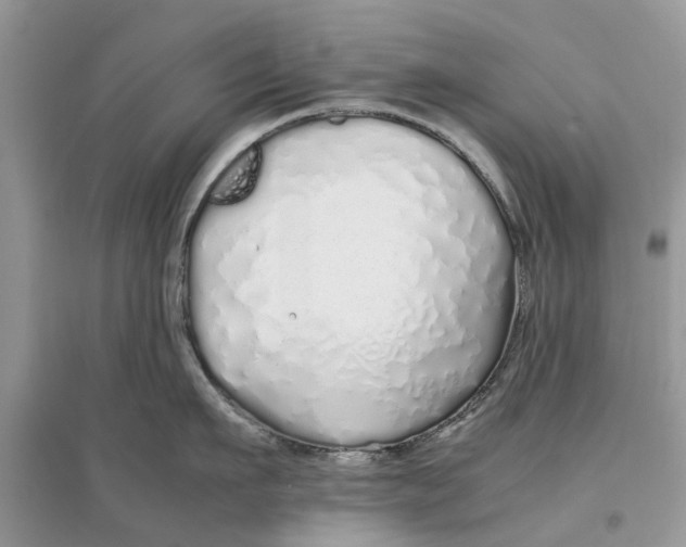 X0000097300911200803071750