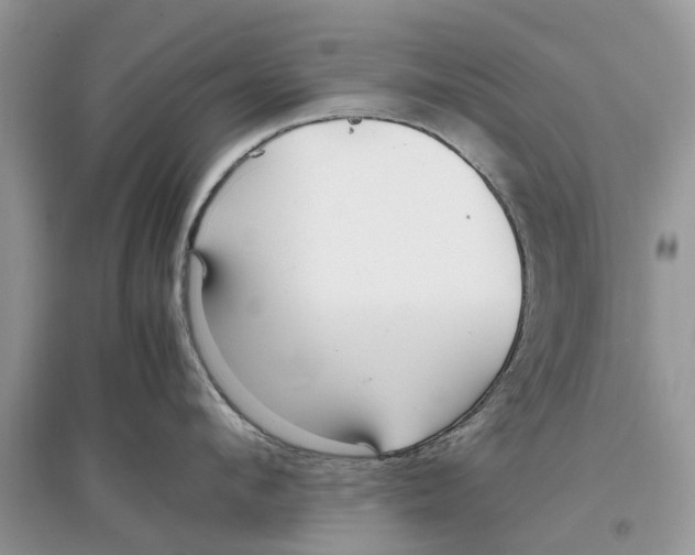 X0000097300912200803071750