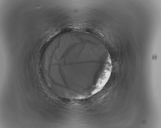 X0000097300913200803071749