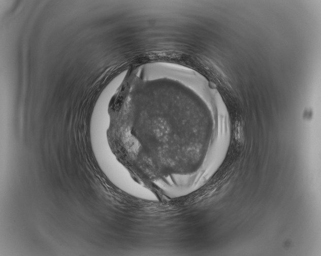 X0000097300915200803071749