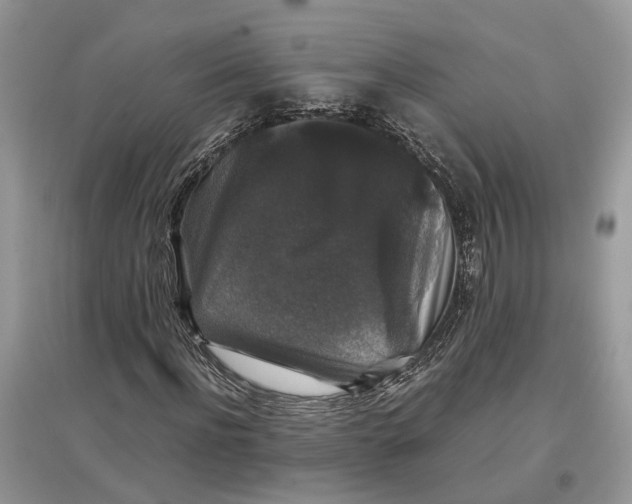 X0000097300916200803071749