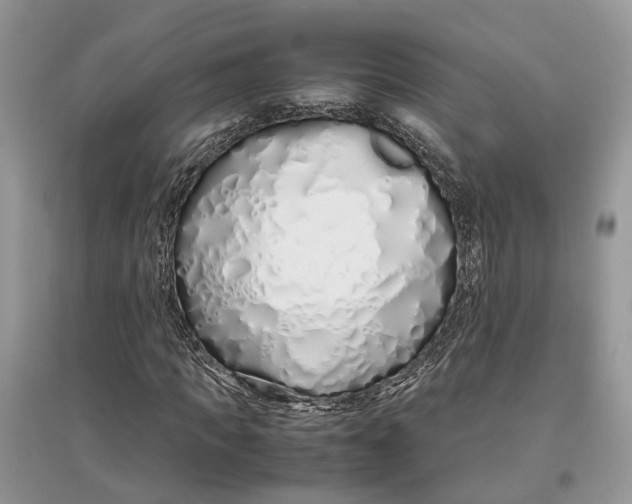 X0000097300917200803071749