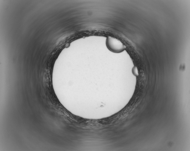 X0000097300918200803071749